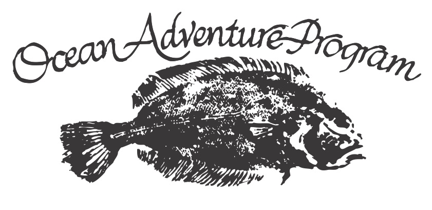Ocean Adventure Programs Inc. logo