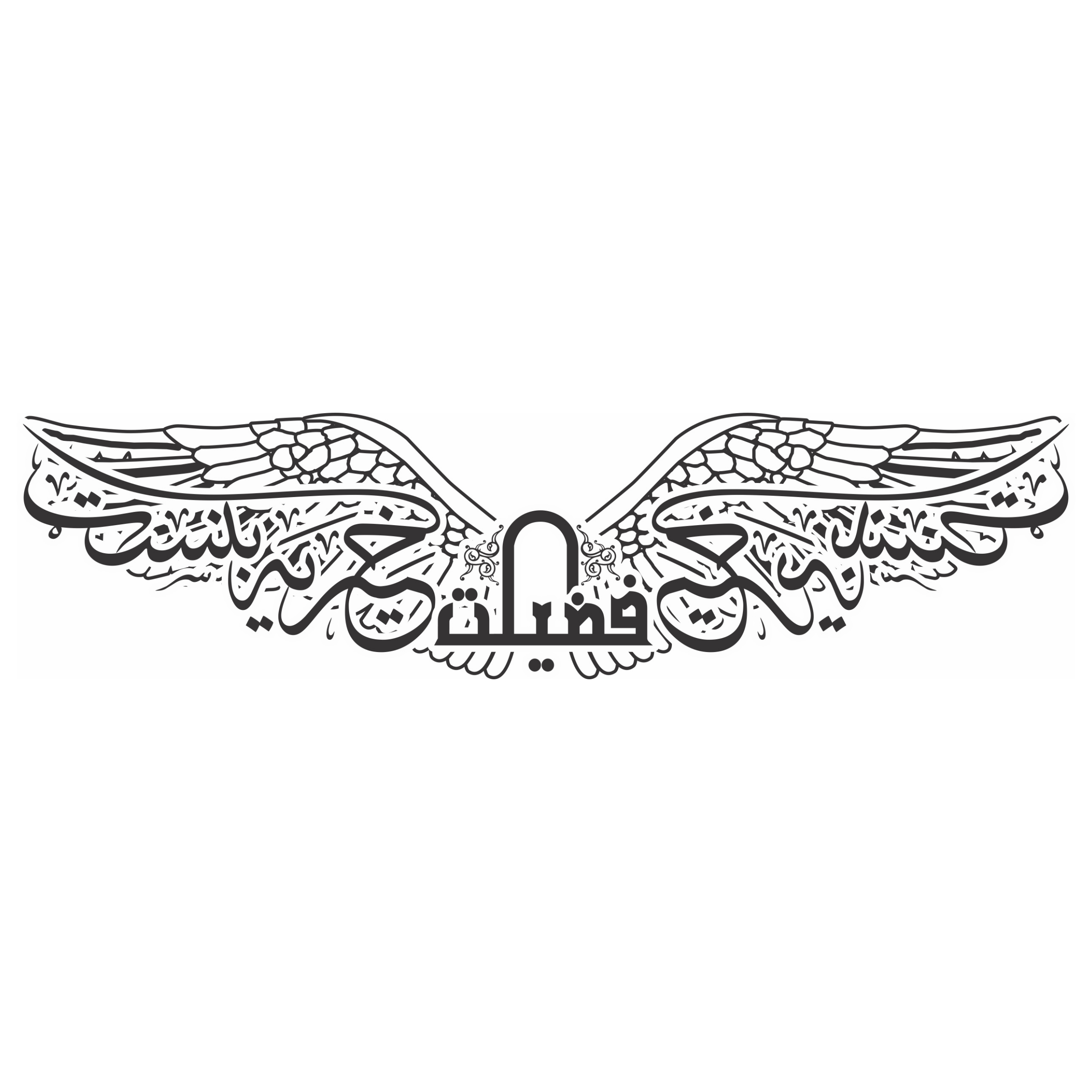 Virtue Aid logo