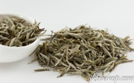 2012 Spring Organic Imperial Fuding Silver Needle White Tea from JK Tea Shop