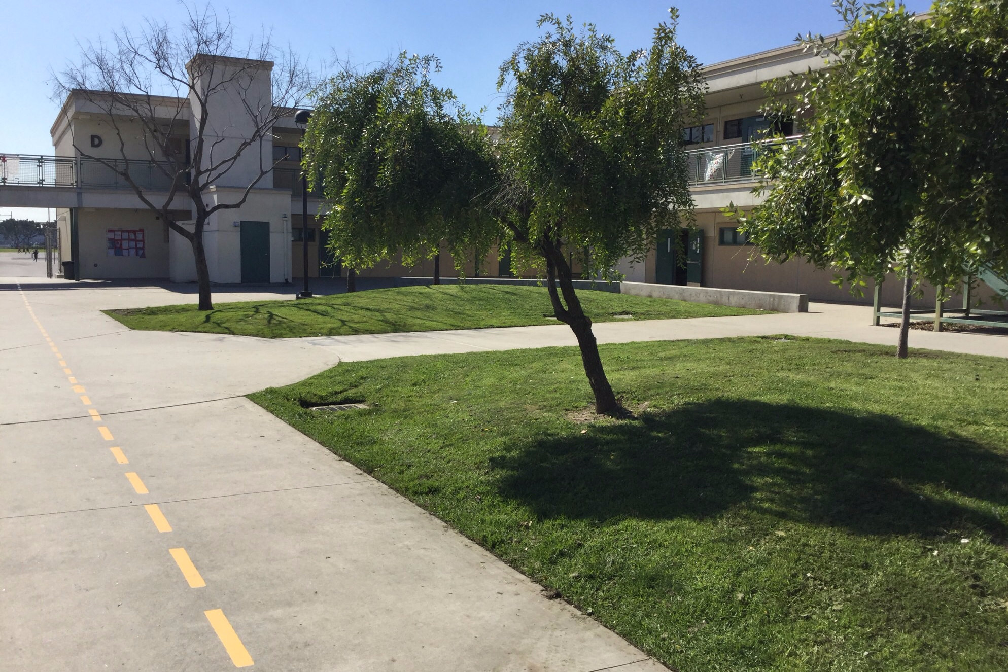Quad