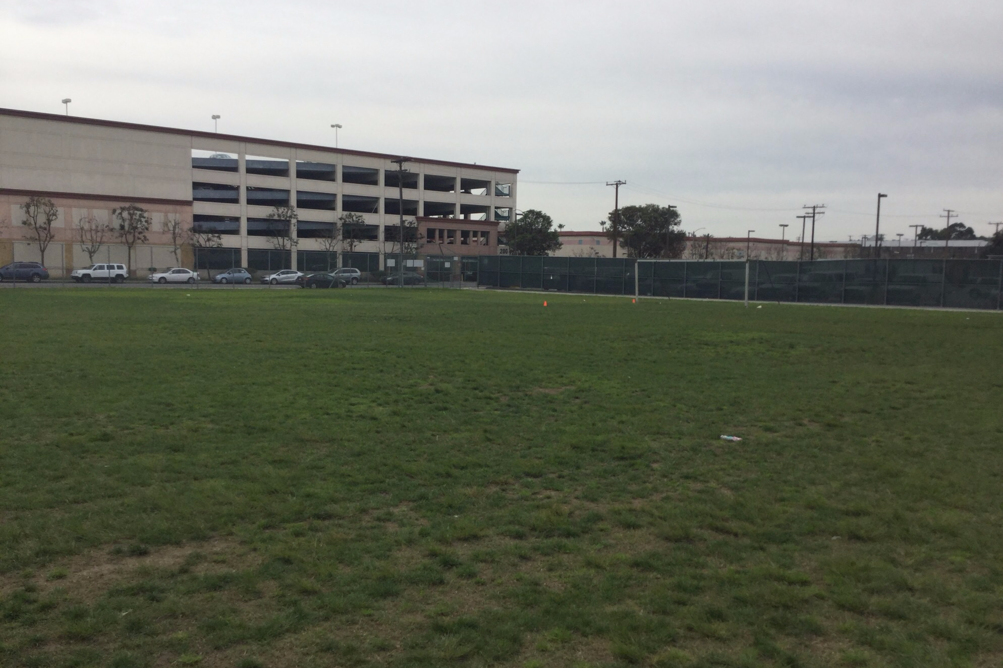 Field