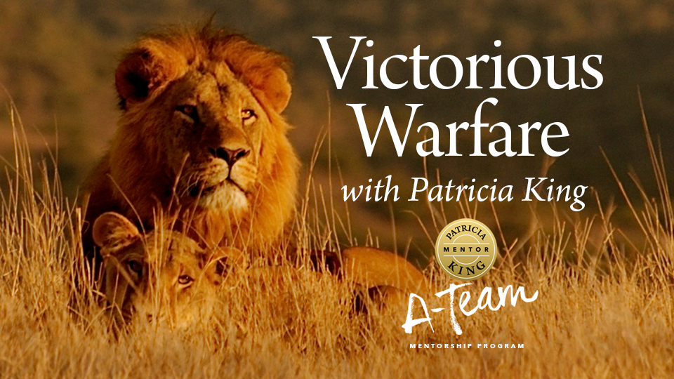 Product image for Victorious Warfare
