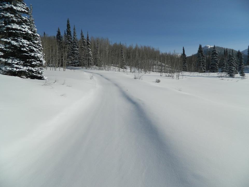 Standard Snowmobile Tour photo 3