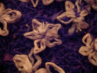 Starry Night from Art of Tea