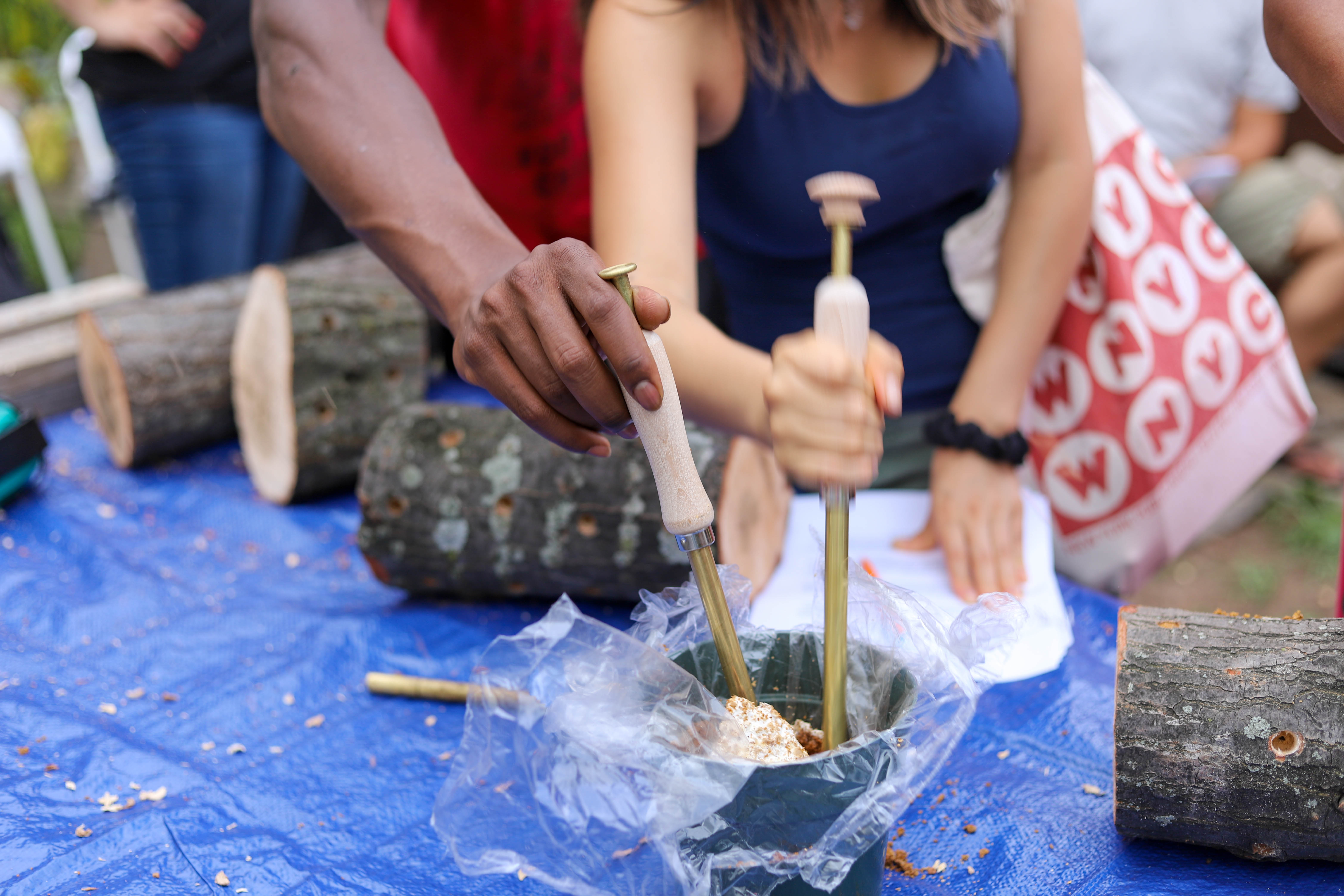 Community Mushroom Educators