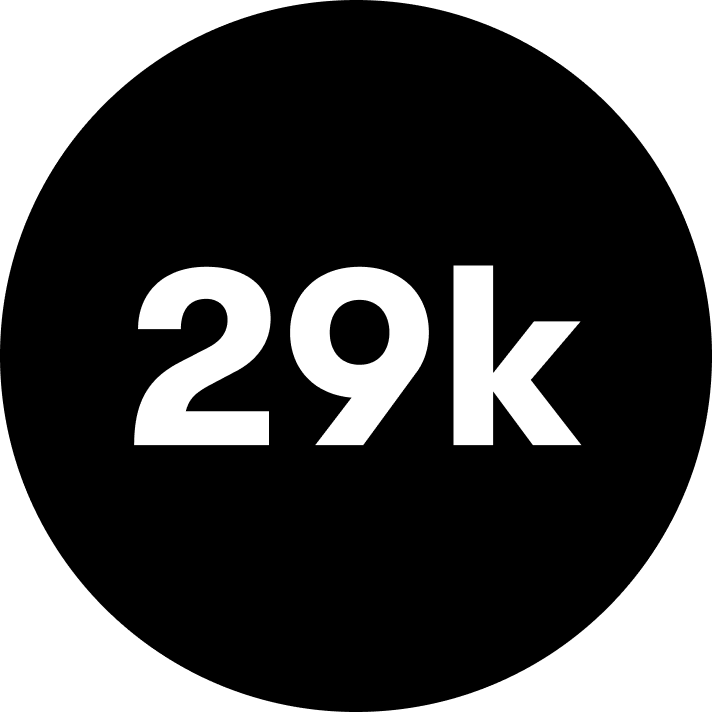 Stiftelsen 29k Foundation logo