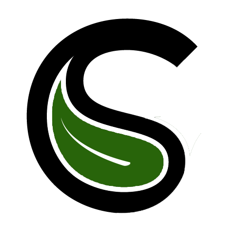 CSS Academy