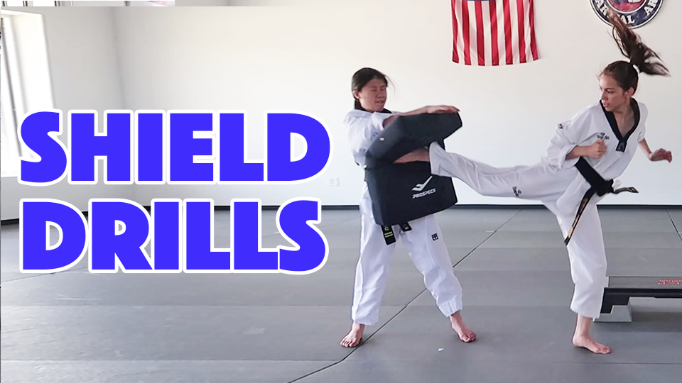 learn martial arts drills online