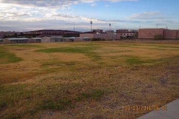 Soccer Field
