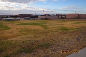 Soccer Field