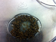 Golden Bi Lo from Golden Moon Tea