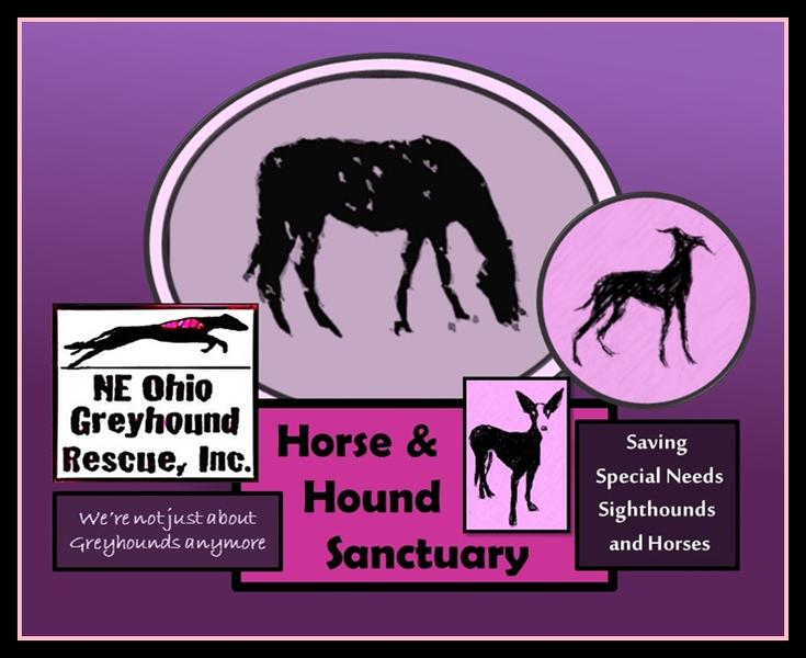 horse and hound logo 2jpg