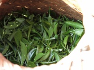 Taiwanese Dragonwell from Beautiful Taiwan Tea Company