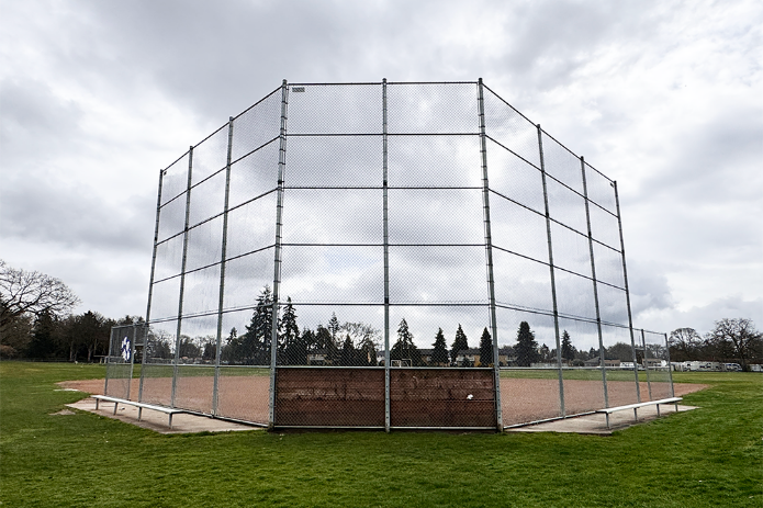 Baseball/Softball Field Grass