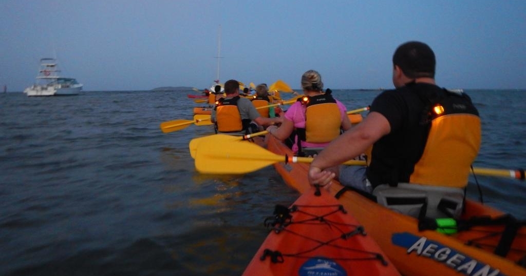Bioluminescent Bay Kayak Adventure tour photo 10