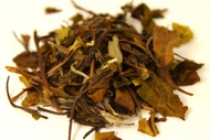 Cucumber White from The TeaCupany