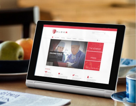 portfolio