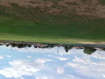 Playfield