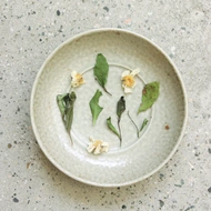 Laoshan White & Tea Blossoms from Cultivate Tea