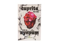 Cuprite (2017 Anhua He Cha) from Moychay