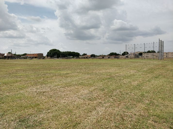 Field