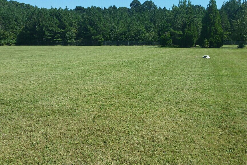  Field