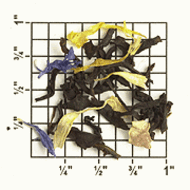 Tropical Blend Black Tea (TE66) from Upton Tea Imports