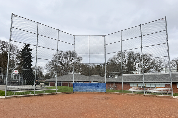 Baseball/Softball Field Grass
