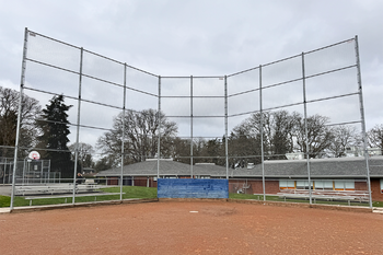 Baseball/Softball Field Grass