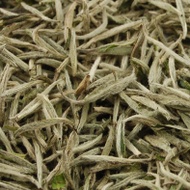 Bai Hao Yin Zhen (Silver Needle) White Tea (Organic) from Seven Cups