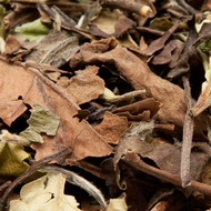 Pai Mu Tan from Seven Teas