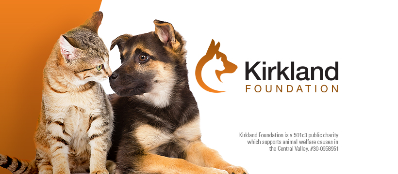 Kirkland Foundation logo
