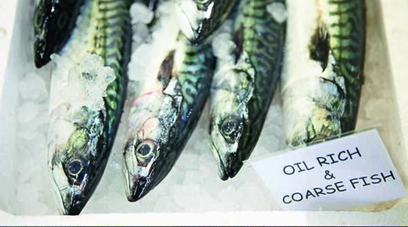 Billingsgate Market Catch of the Day Class