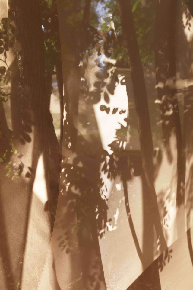 image: Detail of my installation in Darlington, Maryland, 2014.