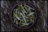 Wildcrafted Fujian Silver Needle from Whispering Pines Tea Company