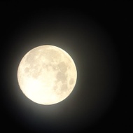 Full Moon Midnight from Adagio Custom Blends
