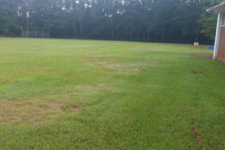 Soccer Field