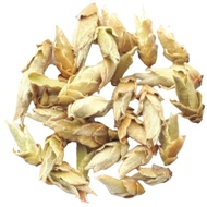 Wild Tree Buds from World of Tea