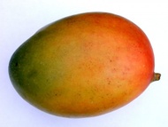 Major Mango Honeybush from Adagio Custom Blends