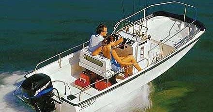 Water Activities: Martha's Vineyard Oceansports - Boston Whaler Adventures - Boston