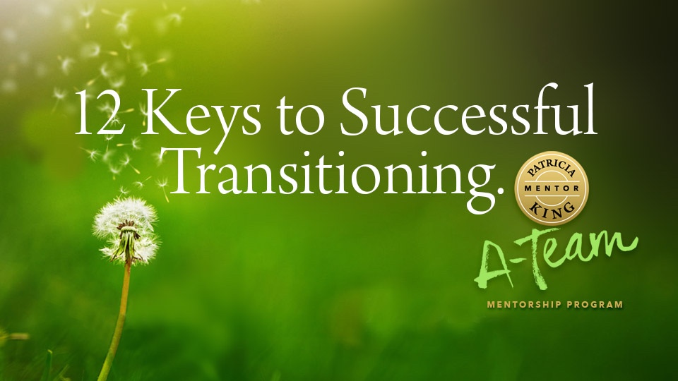 Product image for 12 Keys to Successful Transitioning