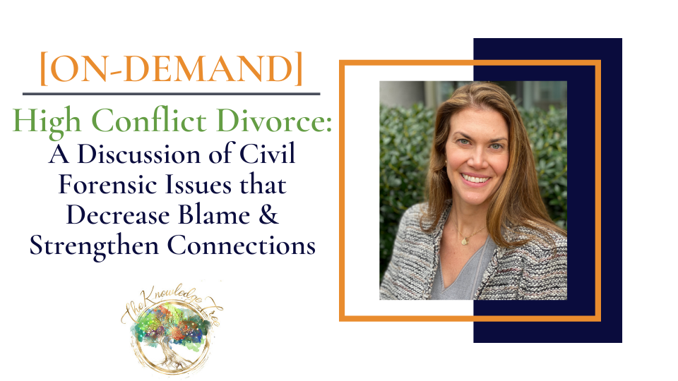 High-Conflict Divorce On-Demand Continuing Education Course for therapists, counselors, psychologists, social workers, marriage and family therapists