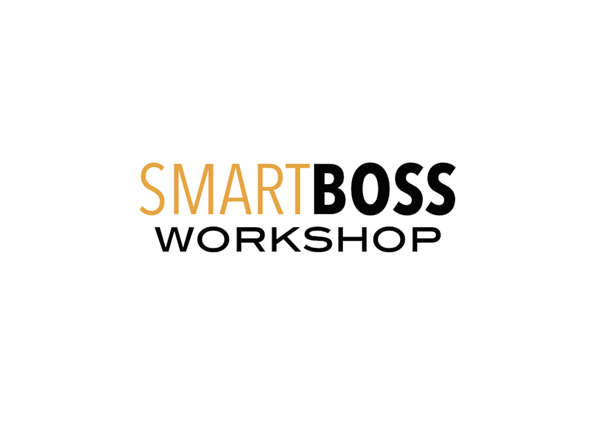 SMARTBOSS Workshop