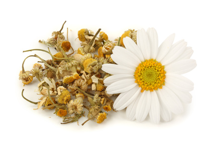 guru holistic training