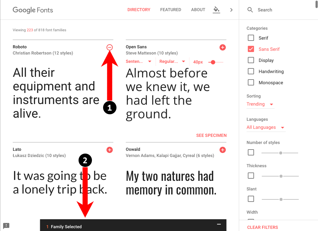 Google Fonts Roboto 400 selected