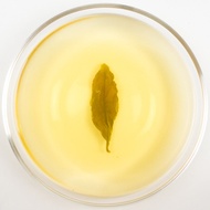 Wenshan Gold Baozhong Oolong Tea - Spring 2015 from Taiwan Sourcing