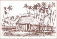 Hawaiian Breakfast Tea from The Hawaiian Tea Company