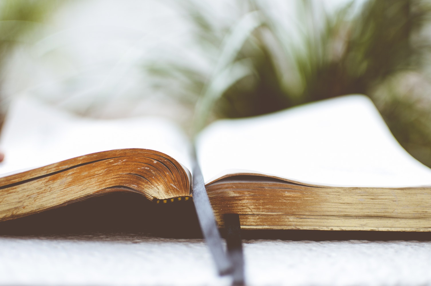 Product image for Biblical Studies