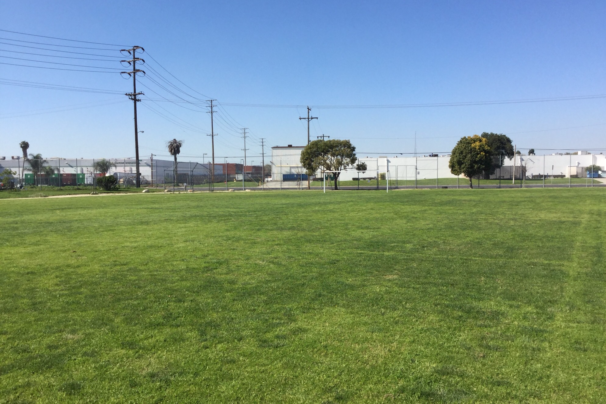 Field