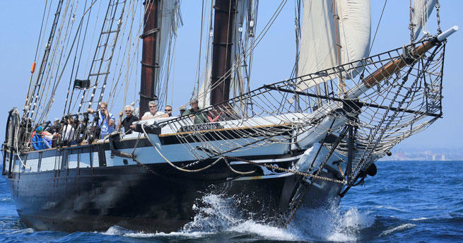 Marine & Water Activities: Tall Ship Californian in San Diego - San Diego